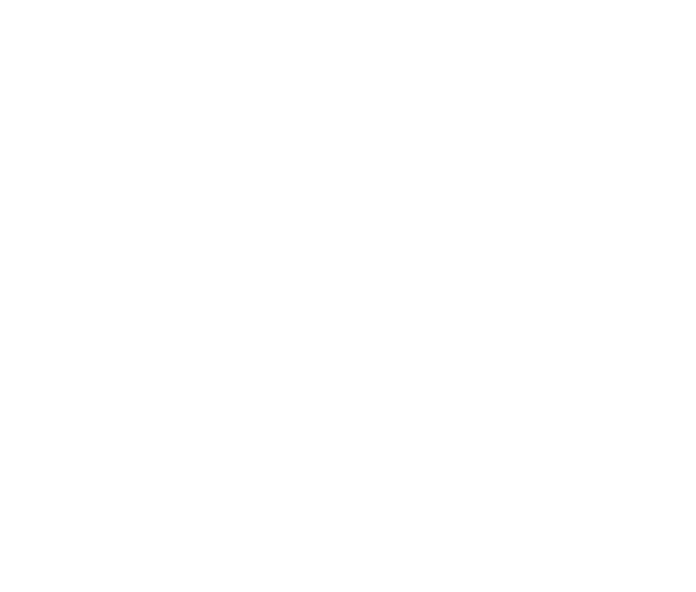 Main Logo white